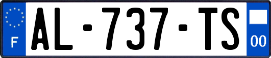 AL-737-TS