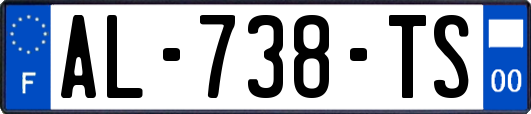 AL-738-TS