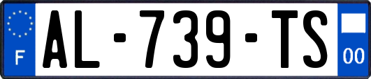 AL-739-TS
