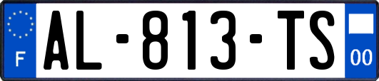 AL-813-TS