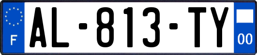 AL-813-TY