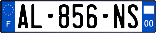 AL-856-NS