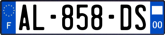 AL-858-DS