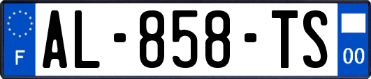 AL-858-TS