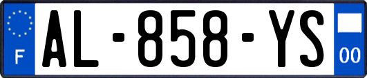 AL-858-YS