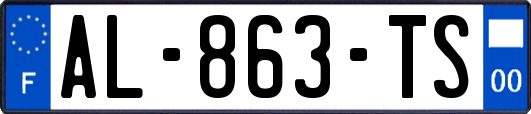AL-863-TS