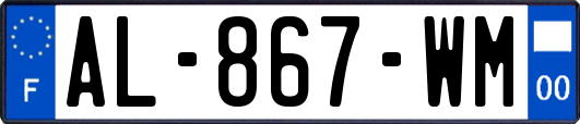 AL-867-WM