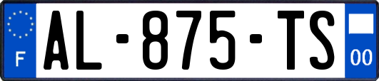 AL-875-TS