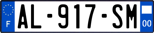 AL-917-SM