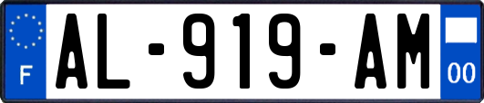 AL-919-AM
