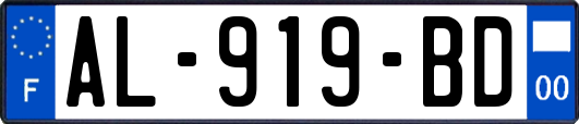 AL-919-BD