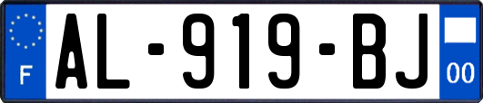 AL-919-BJ