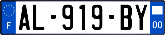 AL-919-BY