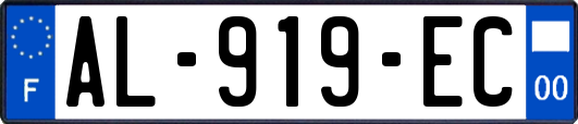 AL-919-EC