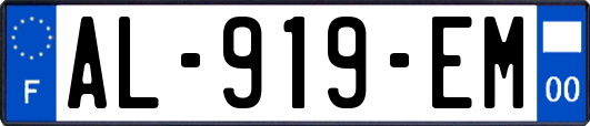 AL-919-EM