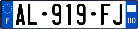 AL-919-FJ