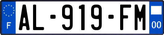 AL-919-FM