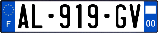 AL-919-GV