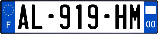AL-919-HM