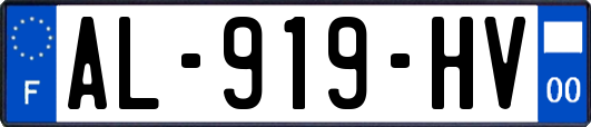 AL-919-HV