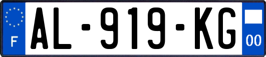 AL-919-KG