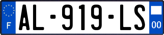 AL-919-LS