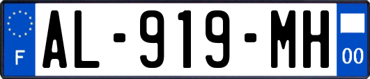AL-919-MH