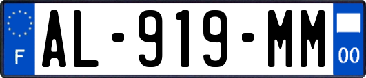 AL-919-MM