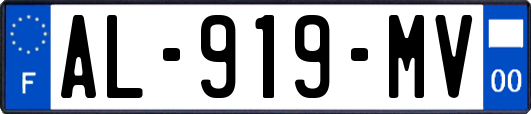 AL-919-MV