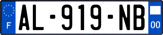 AL-919-NB
