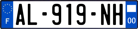 AL-919-NH