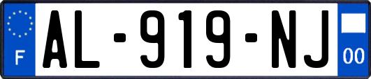 AL-919-NJ