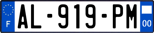 AL-919-PM