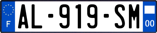 AL-919-SM