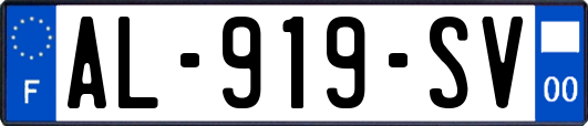 AL-919-SV