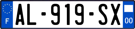 AL-919-SX
