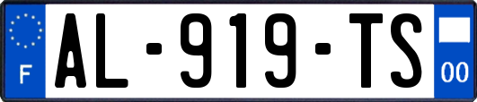 AL-919-TS