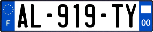 AL-919-TY