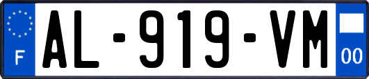 AL-919-VM