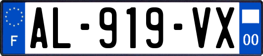 AL-919-VX