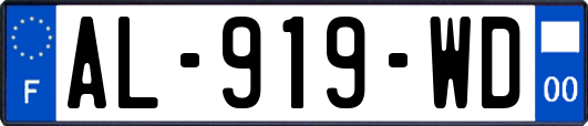 AL-919-WD