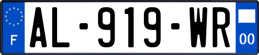 AL-919-WR