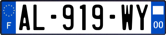 AL-919-WY