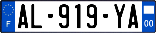 AL-919-YA