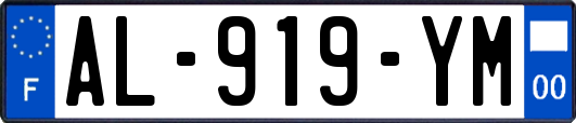 AL-919-YM