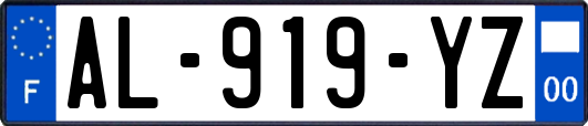 AL-919-YZ