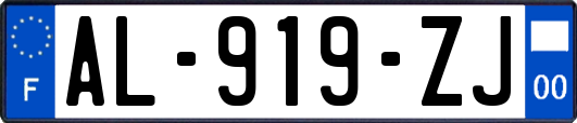 AL-919-ZJ