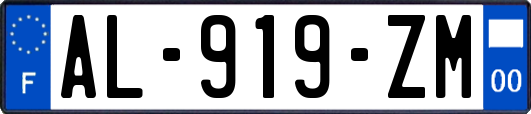 AL-919-ZM