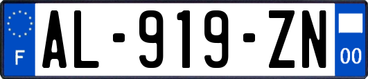 AL-919-ZN