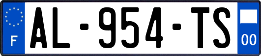 AL-954-TS